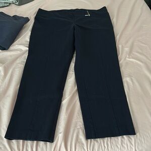 Navy blue Alfani 16 short dress pants.